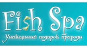 Центр FISH SPA терапии