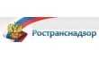 Управление государственного автодорожного надзора по Воронежской области